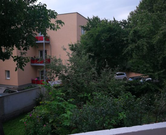 IMG_20240808_163314